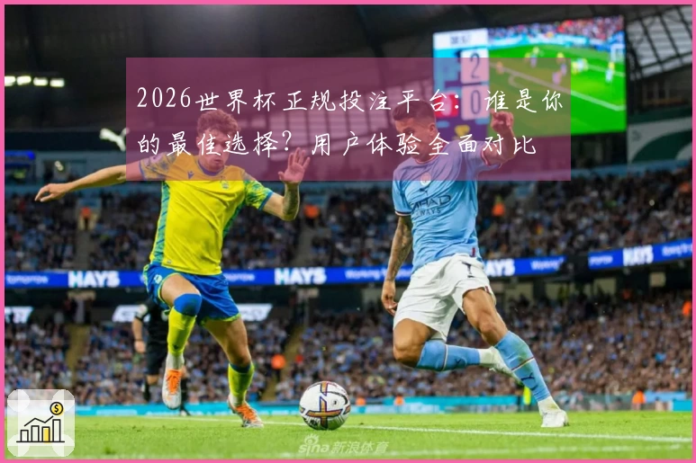 2026世界杯正规投注平台：谁是你的最佳选择？用户体验全面对比