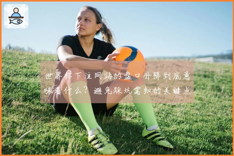 世界杯下注网站的盘口升降到底意味着什么？避免踩坑需知的关键点