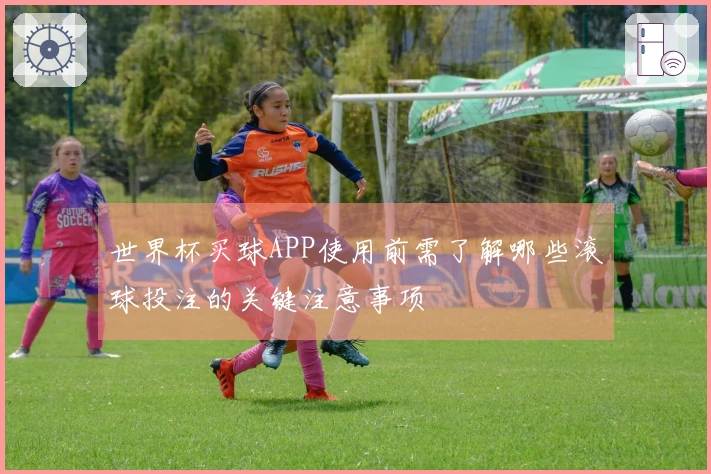 世界杯买球APP使用前需了解哪些滚球投注的关键注意事项