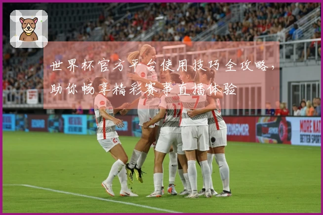 世界杯官方平台使用技巧全攻略，助你畅享精彩赛事直播体验