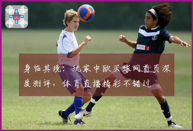 身临其境：玩家中欧买球网首页深度测评，体育直播精彩不错过