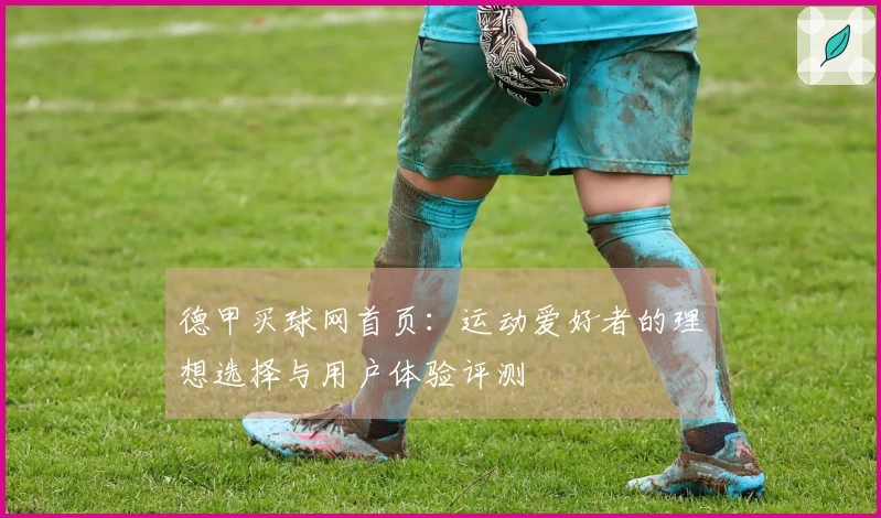 德甲买球网首页：运动爱好者的理想选择与用户体验评测