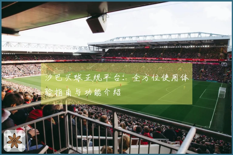 沙巴买球正规平台：全方位使用体验指南与功能介绍