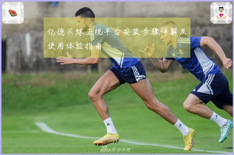 亿德买球正规平台安装步骤详解及使用体验指南