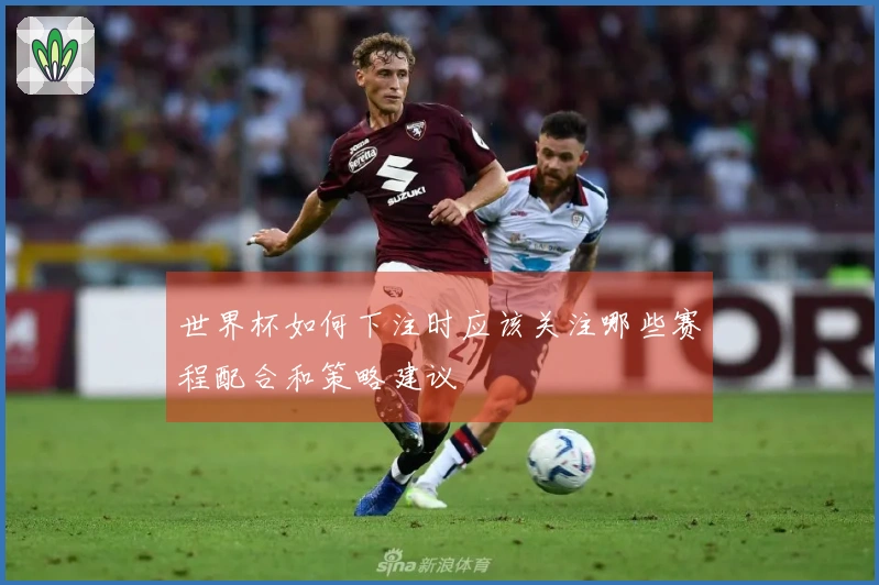 世界杯如何下注时应该关注哪些赛程配合和策略建议