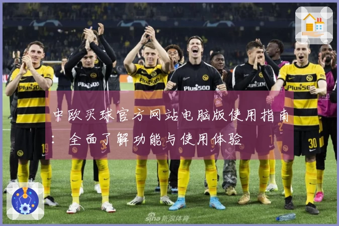 中欧买球官方网站电脑版使用指南：全面了解功能与使用体验